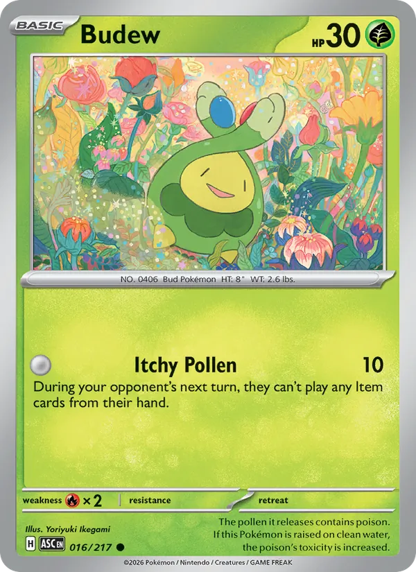 Budew - Ascended Heroes - #16 - Near Mint - Pokemon Card